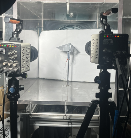Wing flapping setup